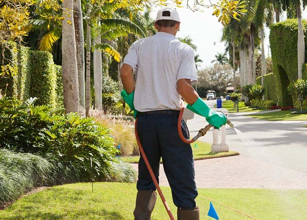 About Depew NY Pest Control Pros
